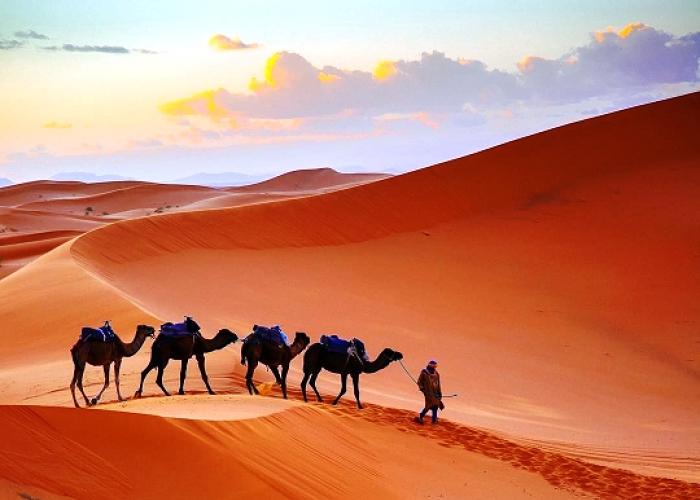 Grand Moroccan Journey